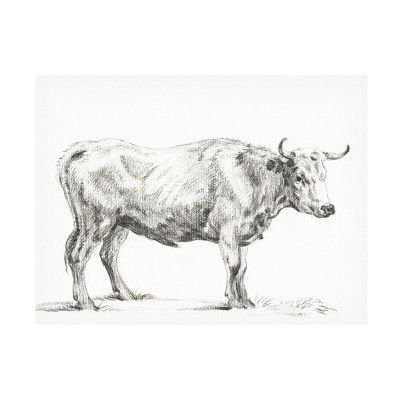 Trademark Fine Art - Jean Bernard Bernard's Bull Renderings Ii Canvas ...