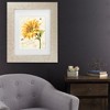 Trademark Fine Art - Lisa Audit Under the Sun II Matted Framed Art - 2 of 4