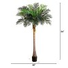 HomeStock  7 ft. Artificial Palm Tree in Pot for Indoor/Outdoor - 2 of 4