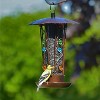 Heath Outdoor Products Treasure Trove Decorative Feeder - Bronze (11") - 3 of 3