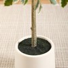 DR.Planzen 5-7FT Artificial Ficus Tree with Oval White Planter, Pre Potted Faux Greenry Plant with White Side Leaves for Home Decor - 4 of 4