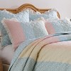 Greenland Home Fashions Tessie Pastel Pillow Sham - 4 of 4