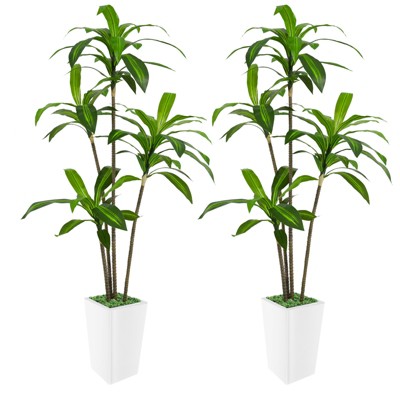Artificial Dracaena Tree, Faux Dracaena Tree with Tall White Planter, Ideal for Home Decor and Housewarming Gift