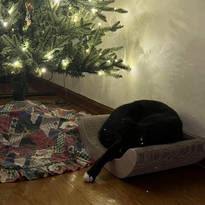 Guest review image 1 of 2, zoom in