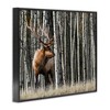 Stupell Industries Elk Looming Out Birch Trees Animal Forest Photograph Black Framed Giclee Art - 3 of 4