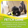 Interactive Fetch-N-Treat Dog Toy - 2 of 4