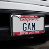 Ripon College Mascot Full Size Standard License Plate Metal Frame - 2 of 4