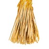 Vickerman 26" Dried Phalaris Bunch, 7 oz - 3 of 3