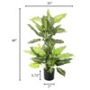Artificial Dieffenbachia Floor Plant - 40-Inch Potted Faux Greenery for Home or Office Decoration Natural Looking Polyester Leaves by Pure Garden - 4 of 4