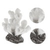 Unique Bargains Coral Reef Decor Mini Faux Coral Decor for Aquarium Decorations White 1.77"x1.85" 1 Pcs - 3 of 4