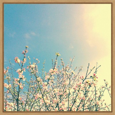 Springing Pink I Contemporary Canvas Print with Maple Floater Frame
