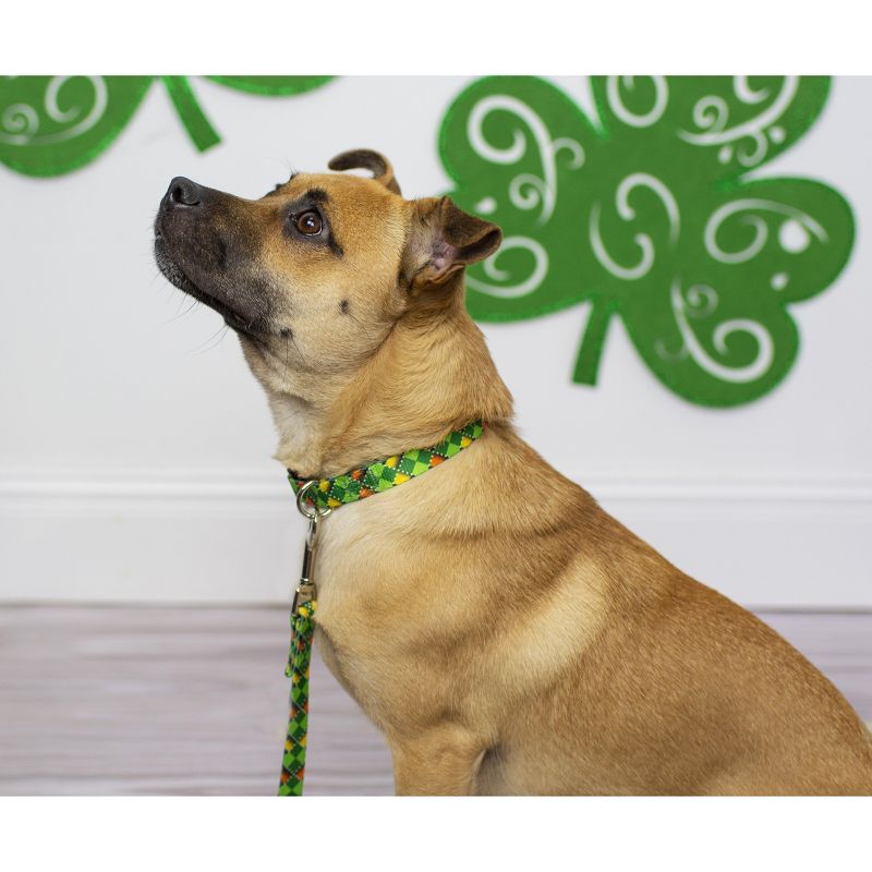 Country Brook Petz Premium Limerick Argyle Dog Collar, 2 of 8