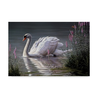 Wilhelm Goebel Summer Idyll Mute Swan Canvas Art 16" x 24"