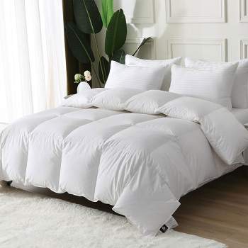 BPC 90 by 90 Inch Queen Sized Lightweight Modern All Season Down Comforter, Machine Washable and Dryable for Easy Care, White