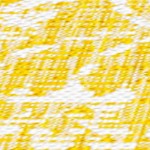 yellow/cream