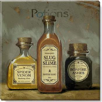 Sullivans Darren Gygi Potions Canvas, Museum Quality Giclee Print, Gallery Wrapped, Handcrafted in USA