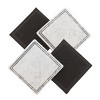 Premier Pet Fountain Replacement Carbon Filters - 4pk - 2 of 4
