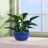 KTMBDW Plant Pots Set of 3, Ceramic Planter Pot with Drainage Hole, Indoor/Outdoor Cylinder Round Planter Pot - 2 of 4