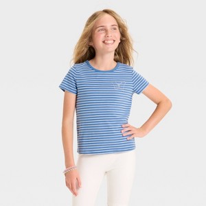 Girls' Short Sleeve Fitted Striped Embellished T-Shirt - Cat & Jack™ Steel Blue - 1 of 4