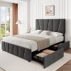 Twin Size Bed Frame with Adjustable Headboard and 2 Storage Drawers, Velvet Upholstered Tufted Platform Bed Frames with Wooden Slats Support, Beige - 3 of 4