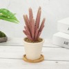 Unique Bargains Bamboo Wood Saucer, Round Plant Tray Bonsai Succulent Pot - 4 of 4