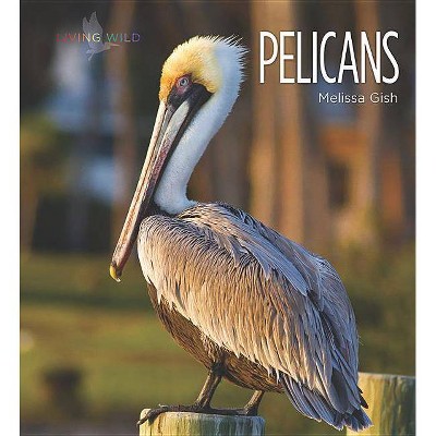 Pelicans - (Living Wild) by  Melissa Gish (Paperback)