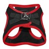 Voyager Step-In Air Dog Harness and 5' Leash Sets - 3 of 4