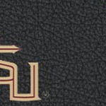 florida state seminoles