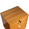 GlasFlength Nightstands Nightstand Modern Bedside Table Accent Bedside End Table with 3 Drawers for Bedroom Modern, Brown, 19"*15.75"*21.25" - 4 of 4