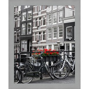 Amanti Art Brushed Nickel Picture Frame - 1 of 4
