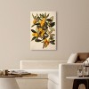 Art Remedy Orange Oasis Glow Vintage Prints Unframed - 2 of 4