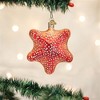 Old World Christmas Blown Glass Ornament, Red Starfish - 2 of 4