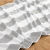 Isla Jade 4pk Cotton Cabana Beach Towels - 3 of 4