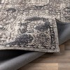 Mark & Day Pesaro Woven Indoor Area Rugs - 4 of 4