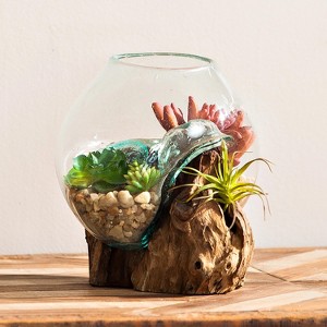 Evergreen Beautiful Springtime Small Glass Planter on Driftwood Outdoor Decor - 7 x 6 x 6 Inches Fade and Weather Resistant Decoration - 1 of 3