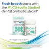 BioGaia Prodentis® Fresh Breath - Oral Probiotic Lozenges w/ Zinc - 3 of 4