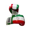 Invincible Fight Gear Hook & Loop Leather Training Boxing Gloves with Mexican Flag Colors–Ideal for Boxing, Kickboxing, Muay Thai,MMA - image 2 of 4