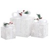 vidaXL Set of 3 Christmas Lighted Gift Boxes, 8 Light Modes Light Up Present Boxes, Xmas Holiday Decorations for Indoor Outdoor Use - 4 of 4