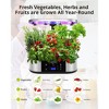 Hydroponics Growing System 12 Pods With 3.5" HD Screen & 30W 120 LED Grow Light - 3 of 4