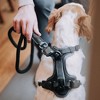 HOOZA Rope Dog Leash - 1" x 5', Dog Outdoor Accessory - Magnetic Quick Clip, Heavy Duty - 3 of 4