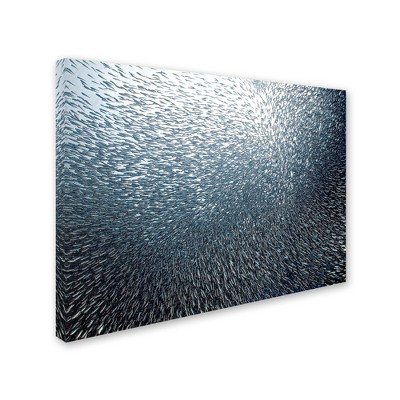 Trademark Fine Art -Henry Jager 'Sardines Firework' Canvas Art