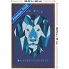 Trends International for KING & COUNTRY - Run Wild Framed Wall Poster Prints - 3 of 4