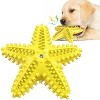 Cesicia Lake Blue Dog Toy, Molar Stick Leaking Food Dog Toothbrush - 2 of 4