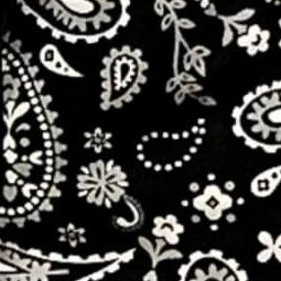 rodeo bandana - black