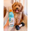 ZippyPaws Dog Toys - Doggyade and Doggy Dumbbell Workout Parody Cute Dog Toys - 2 Pack (Workout Pack) - 2 of 4
