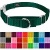 Country Brook Petz Heavyduty Nylon Martingale with Premium Buckle - 3 of 4