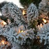 6.5ft Puleo Pre-lit Flocked Virginia Pine Christmas Tree with 300 Clear Incandescent Lights: Hypoallergenic, Easy Assembly - image 2 of 3