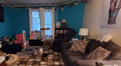 Guest review image 1 of 1, zoom in