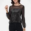 Anna-Kaci Women's Sheer Mesh Long Sleeve Top with Sequin Front Panel and Crew Neckline - 2 of 4
