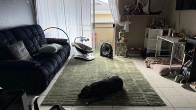 Guest review image 1 of 1, zoom in